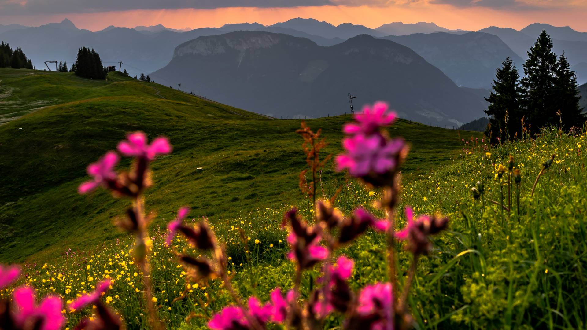 Sonnenuntergang über den Kitzbüheler Alpen